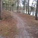 View album
